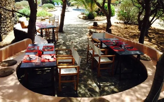 Euterpini - Dammuso Agave