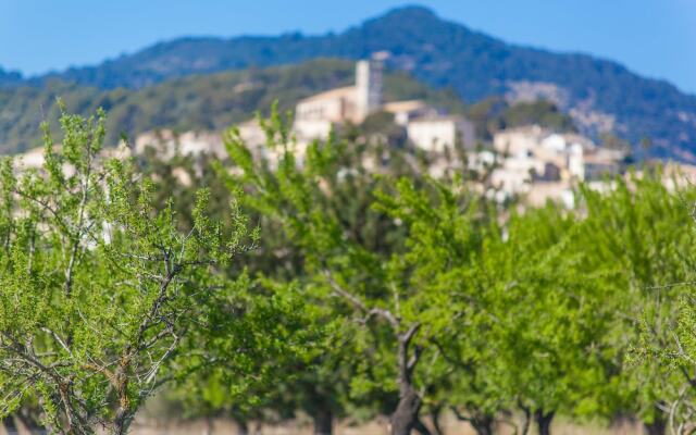 Ses Planes - Adults Only (Ca Na Faustina)