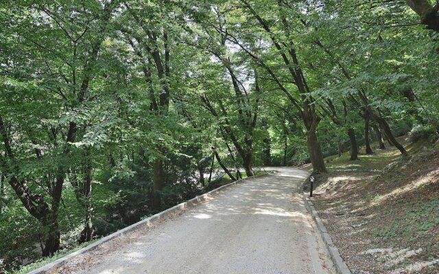 The Groom Home With Pool