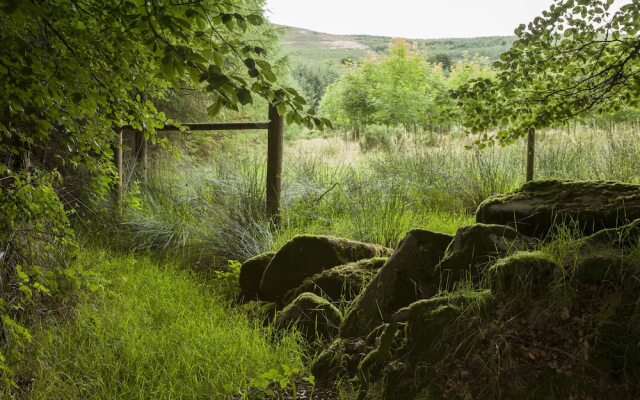 The elbowroom escape