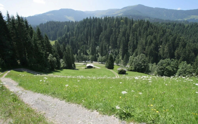 Wooden Chalet in Itter With Sauna