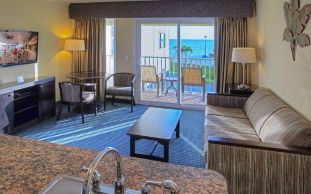 Tampa Waterfront 14179