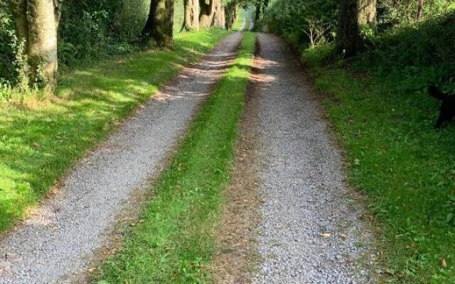 The Reindeer Retreat Daisy Double