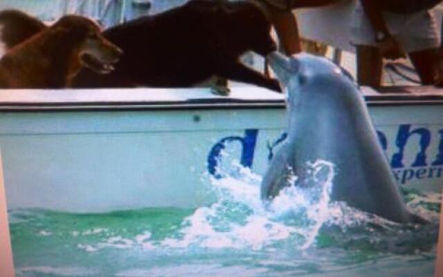 Seapines 594 Wildwood spa