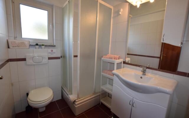 Apartment Vita in Mandre