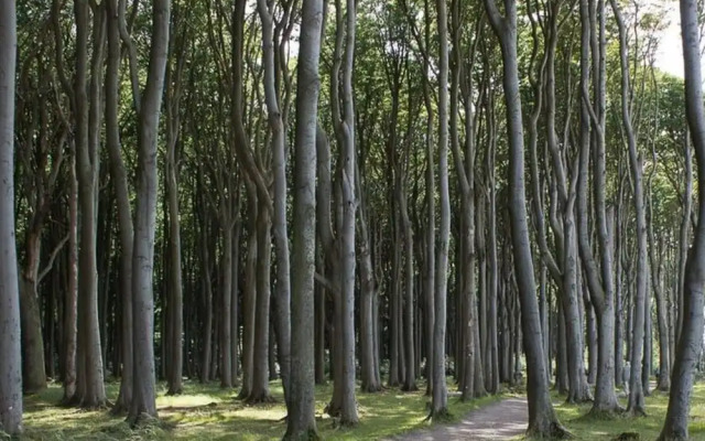 2 in the Baltic Sea Villa Gesine