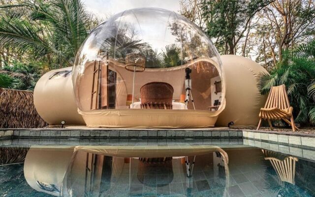 Satori The Bubble Experience Lodge