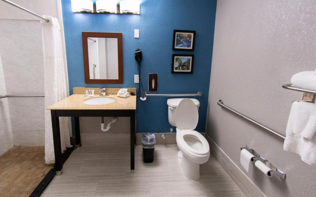 Comfort Inn & Suites Near Medical Center