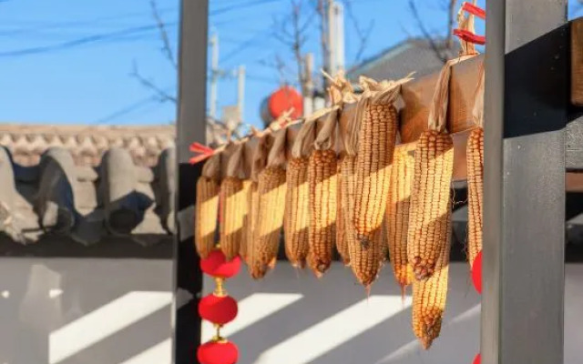 Beijing Yanqing Wanyue Yishe Homestay