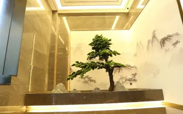 Till Bright Hotel