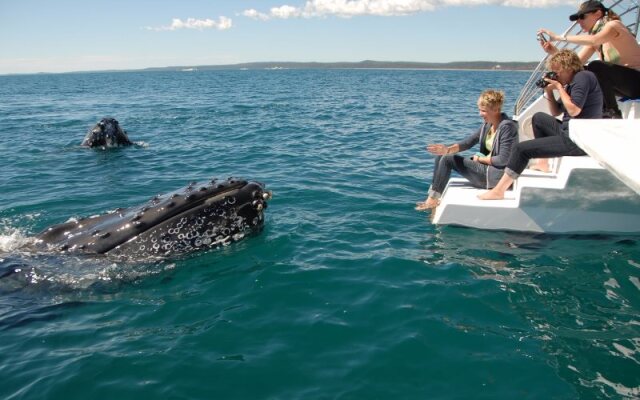 Big4 Hervey Bay Holiday Park