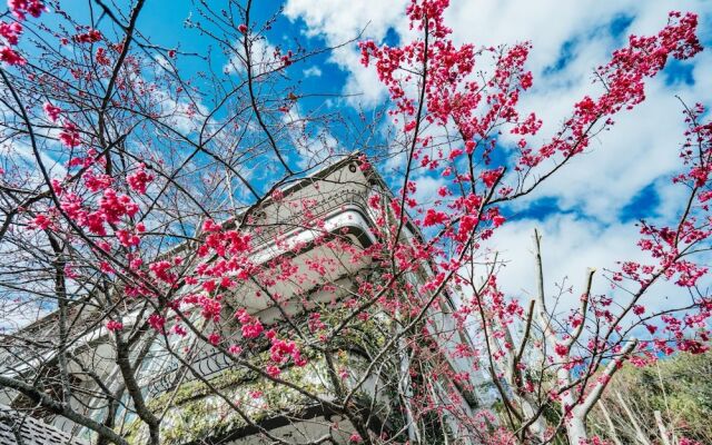 Yunnan Homestay