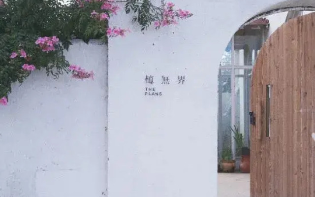 THEPLANTS Aesthetics Homestay.