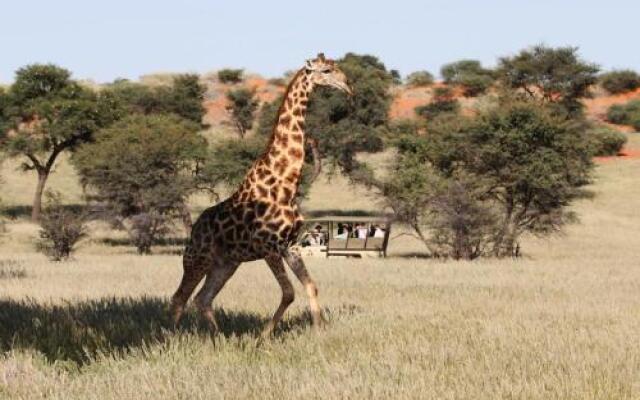 Zebra Kalahari Lodge