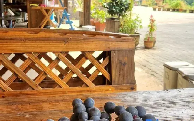 Xuexue B&B