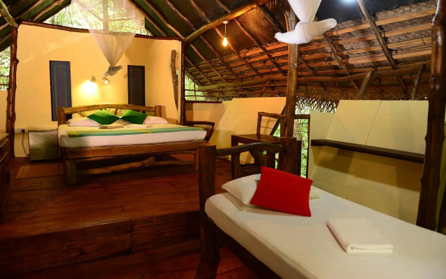 Back of Beyond - Pidurangala