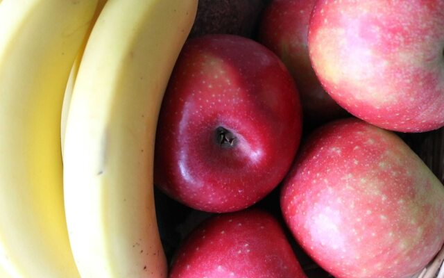 Holiday Home With Fireplace in Mechelsdorf