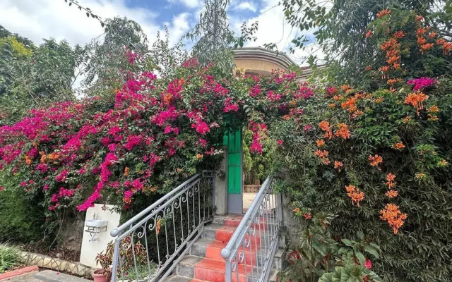 Ahaka cottages