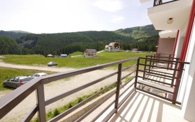 Pensiunea Valea Cocorei