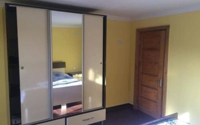 Guest House Rustavieli 240