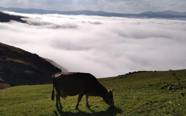 Migroras Otel & Restaurant - Karestel Yaylasi