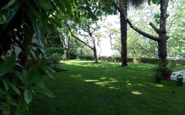 Apartment Ivo - with parking : A1 Malinska, Island Krk