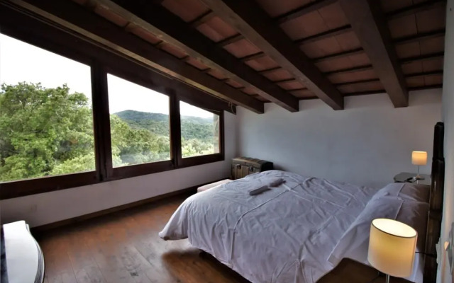 Serra del Bosc