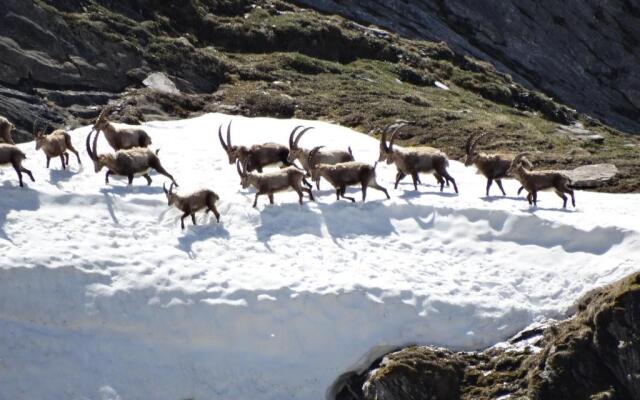 Chez Laurette et Louis
