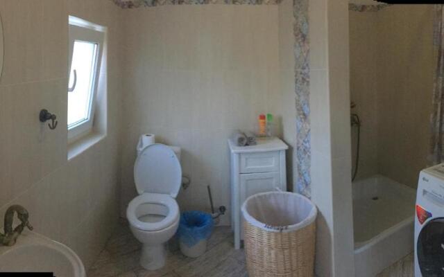 Holiday home Usadba Novoselitsa