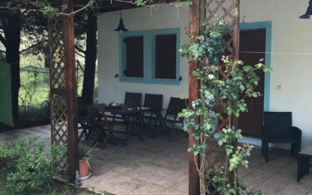 Bill's Garden Villa