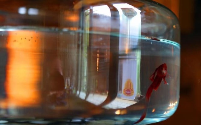 Logis Auberge Du Peras