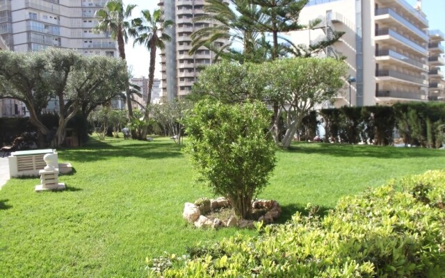 Albaida Park Apartment