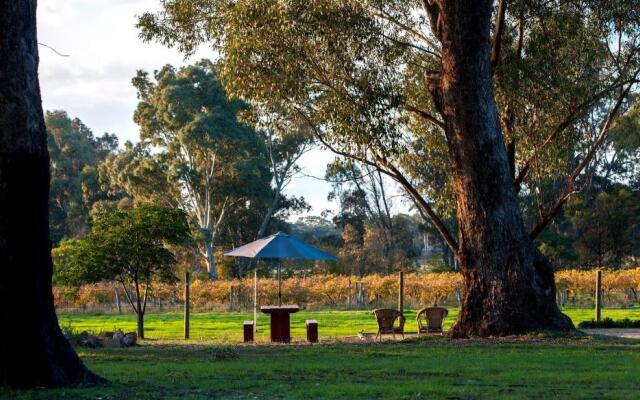 Byronsvale Vineyard and Accommodation