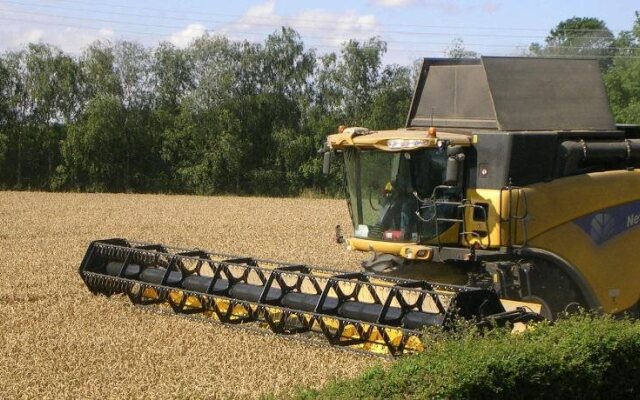 Harvest View