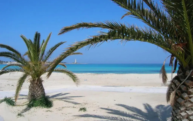 Villa Delle Palme Delfina