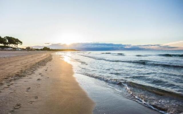 Las Palmeras Camping & Bungalow