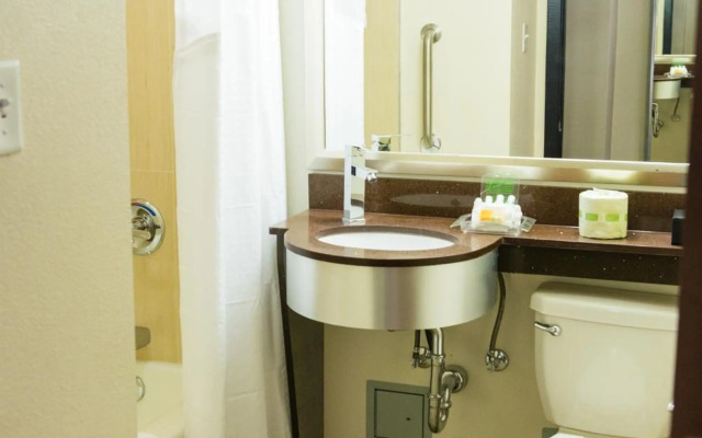 Holiday Inn Houston Downtown by IHG