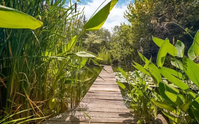 Vintage Villa in Nepi With Private Swimming Pool