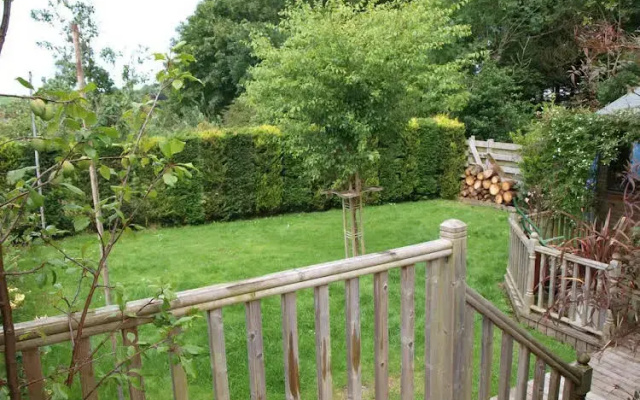 Coed y Bryn