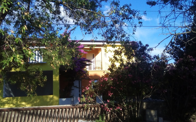 Apartment Midi - with two apartments: A1 Petrcane, Zadar riviera