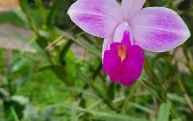 Quarto Suíte Itapoá - SC