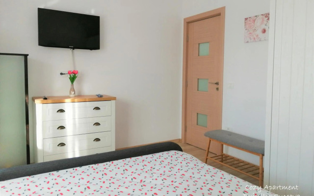Cozy Apartment Bujorilor Suceava