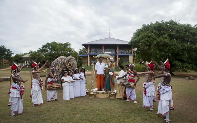 The Elephant Corridor Hotel