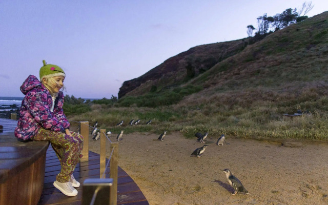 BIG4 Ingenia Holidays Phillip Island