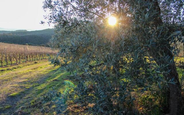 B&B La Torre - Fattoria di Larniano