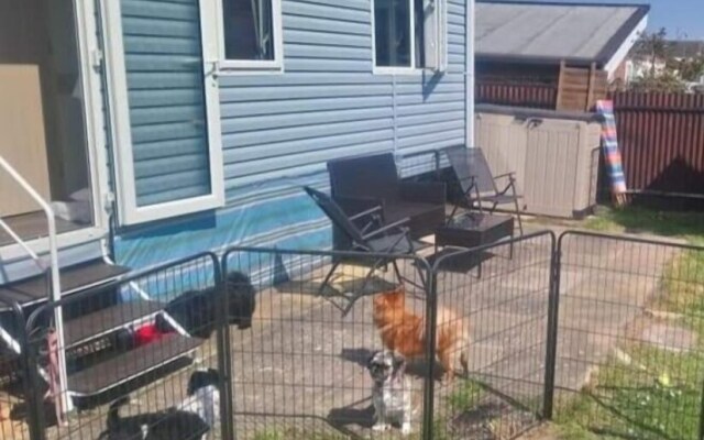 Lovely Multiple dog Friendly Caravan Rhyl