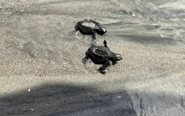Playa Caracol, a Happy Beach