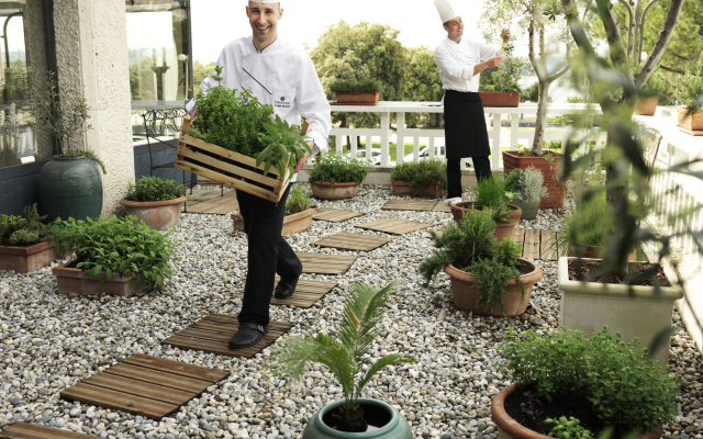 Hotel Mirna – Lifeclass Hotels & Spa, Portorož