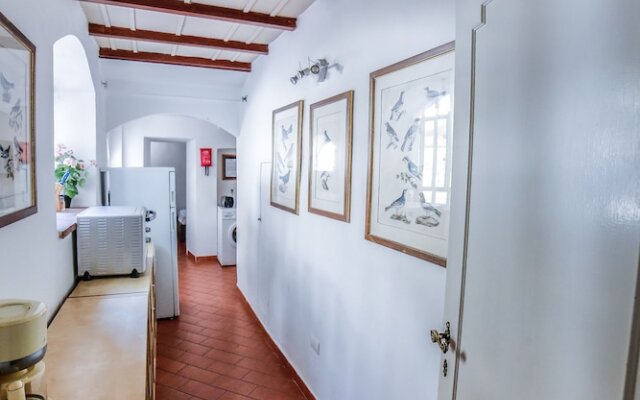 Traditional apt Close to The Duomo - private yard!