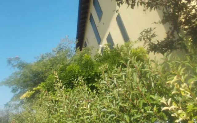 Green San Bartolomeo